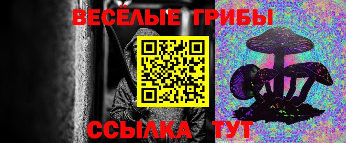Галлюциногенные грибы Magic Shrooms  Вход с VPN  Новочеркасск 